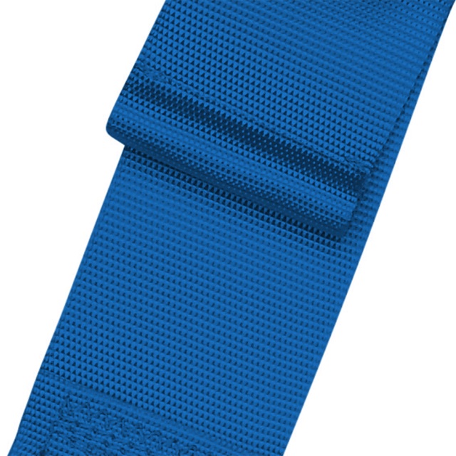 1210-0x5-Schroth-blau